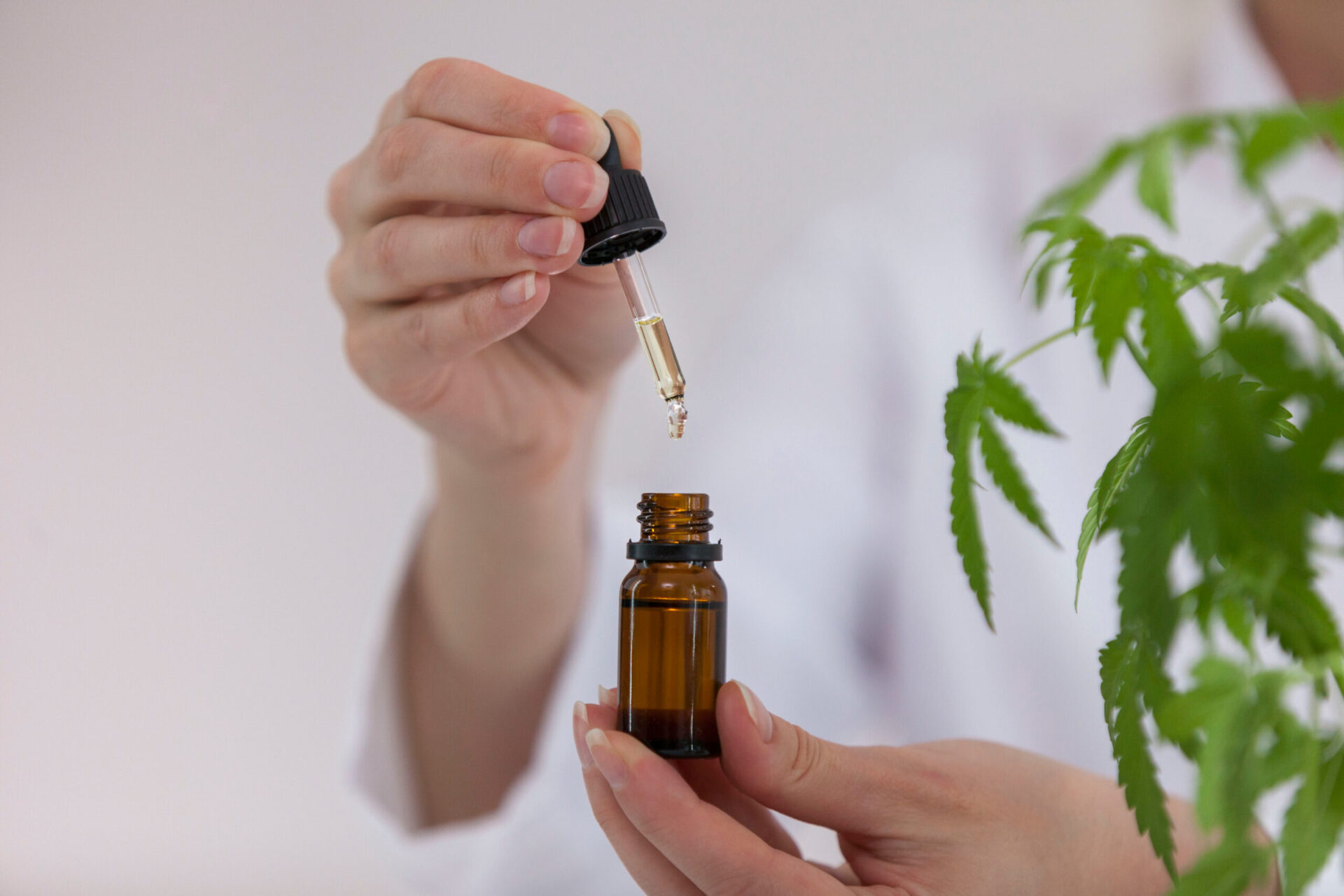 Buteleczka olejku CBD w ręce